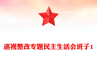 巡視整改專題民主生活會(huì)班子1