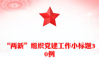 “兩新”組織黨建工作小標題30例