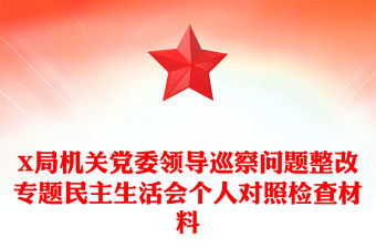 X局機關黨委領導巡察問題整改專題民主生活會個人對照檢查材料
