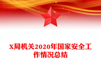 X局機關2020年國家安全工作情況總結