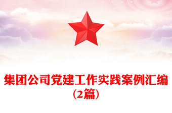 集團(tuán)公司黨建工作實(shí)踐案例匯編(2篇)