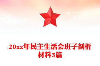 20xx年民主生活會班子剖析材料3篇