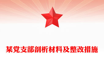 某黨支部剖析材料及整改措施
