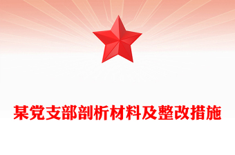 某黨支部剖析材料及整改措施