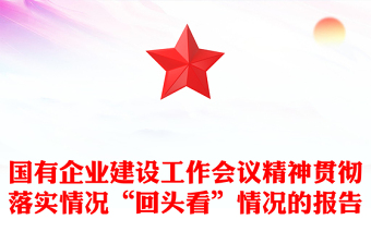 國(guó)有企業(yè)建設(shè)工作會(huì)議精神貫徹落實(shí)情況“回頭看”情況的報(bào)告