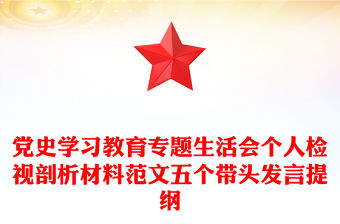 黨史學習教育專題生活會個人檢視剖析材料范文五個帶頭發言提綱