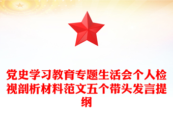 黨史學(xué)習(xí)教育專題生活會(huì)個(gè)人檢視剖析材料范文五個(gè)帶頭發(fā)言提綱