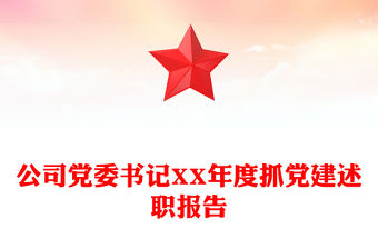 公司黨委書記XX年度抓黨建述職報告
