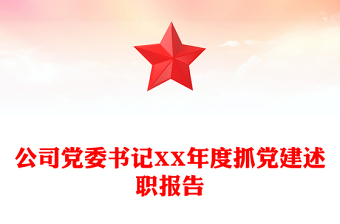 公司黨委書記XX年度抓黨建述職報告