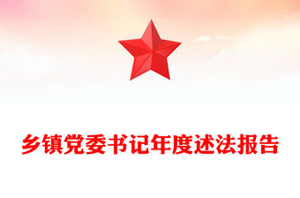 鄉(xiāng)鎮(zhèn)黨委書記年度述法報(bào)告