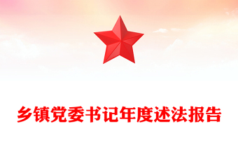 鄉(xiāng)鎮(zhèn)黨委書記年度述法報(bào)告