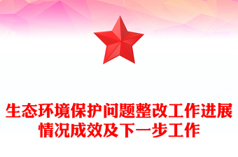 生態(tài)環(huán)境保護問題整改工作進展情況成效及下一步工作