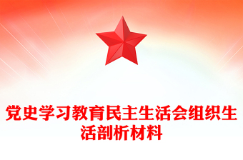 黨史學(xué)習(xí)教育民主生活會(huì)組織生活剖析材料