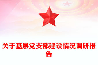 關于基層黨支部建設情況調研報告
