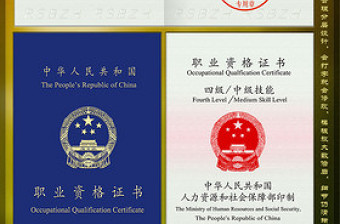 全套中級(jí)保育員職業(yè)資格證書
