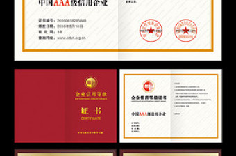 （官方標(biāo)準(zhǔn)）企業(yè)信用等級證書模板銅牌模板