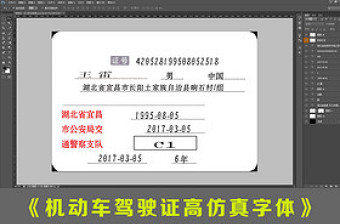 驾驶证高仿真字体PSD模板