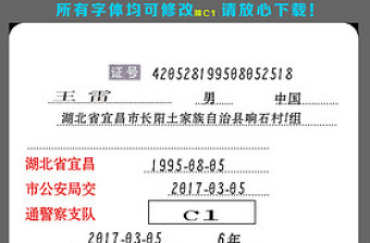 驾驶证高仿真字体PSD模板