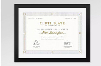 金色防伪底纹公司授权证书荣誉证书设计模板