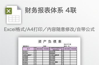 财务报表体系 4联