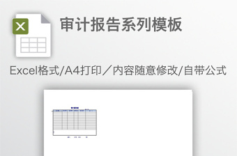 審計(jì)報(bào)告系列模板