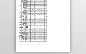 資金預算表(2012新格式)