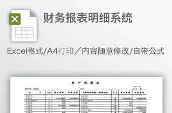 財務報表明細系統(tǒng)