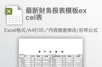 最新财务报表模板excel表