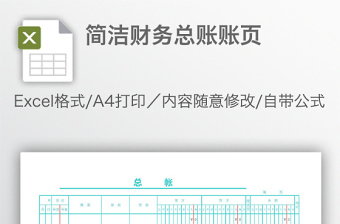 簡(jiǎn)潔財(cái)務(wù)總賬賬頁(yè)