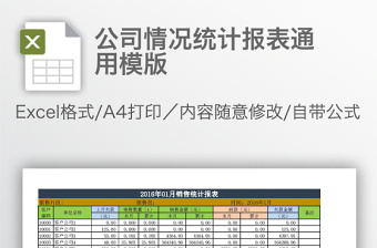公司情況統(tǒng)計報表通用模版