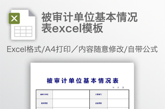 被審計(jì)單位基本情況表excel模板