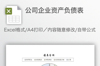 公司企業(yè)資產(chǎn)負(fù)債表