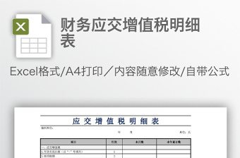 財(cái)務(wù)應(yīng)交增值稅明細(xì)表