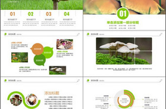 高清野生菌類動態(tài)PPT模板