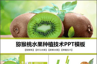 獼猴桃水果種植技術(shù)PPT模板
