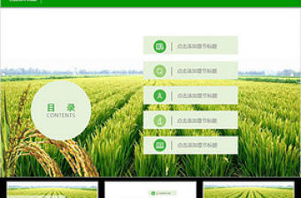 綠色田野背景農業生產種植農業局農村PPT