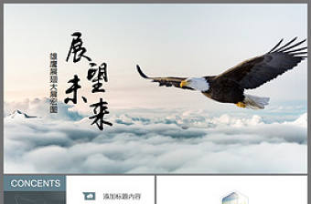 展望未來大展飛鷹企業發展目標PPT模版