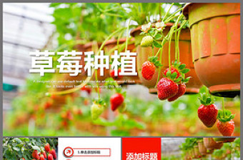 水果草莓園綠色水果農(nóng)產(chǎn)品種植基地PPT模板