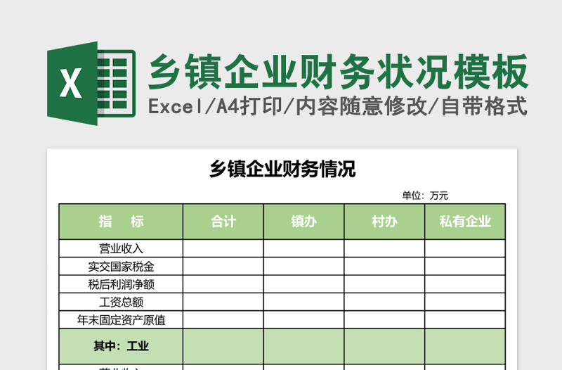 乡镇企业财务状况excel表格模板