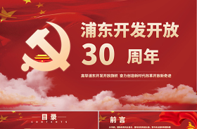 2021通过学习共产党成立100周年大会上讲话个人存在不足ppt