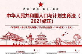 2021中华人民共和国简史学习计划ppt