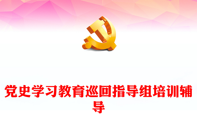 党史学习教育巡回指导组培训辅导