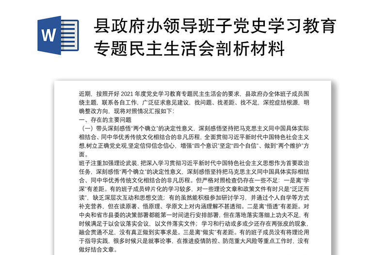 县政府办领导班子党史学习教育专题民主生活会剖析材料