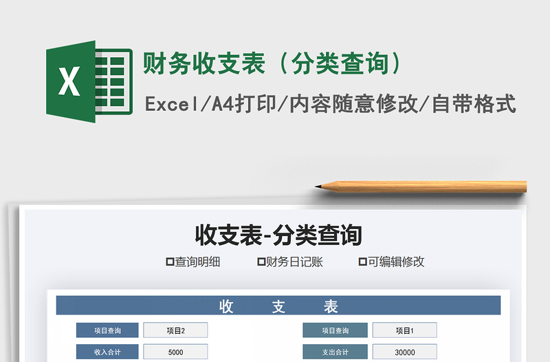 2021年财务收支表（分类查询）免费下载