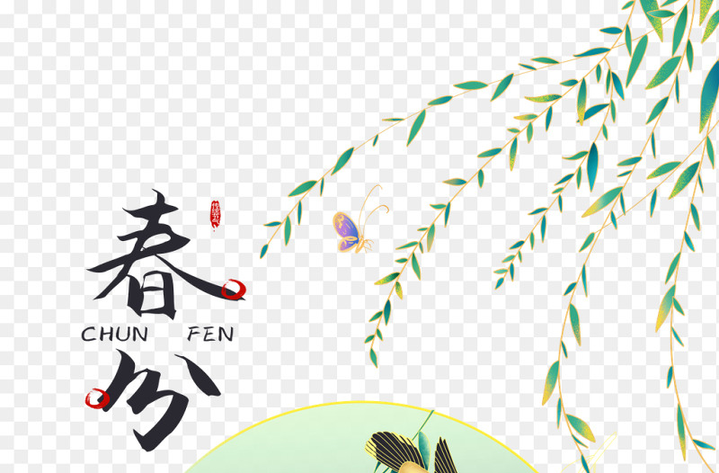 黄鹂绿柳插画中国传统二十四节气惊蛰时节主题素材免抠元素