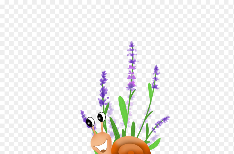 卡通可爱小蜗牛植物昆虫中国传统二十四节气惊蛰时节主题素材免抠元素