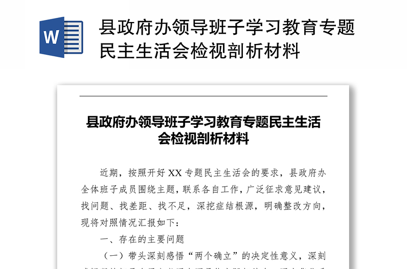 县政府办领导班子学习教育专题民主生活会检视剖析材料