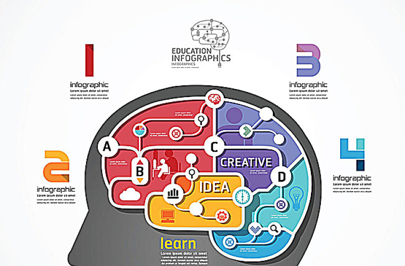 大脑思维图表