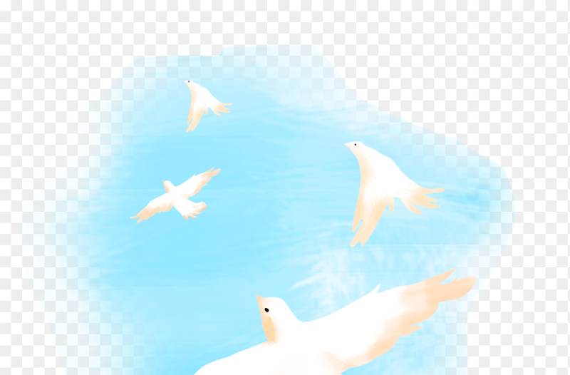 纯白飞翔的和平鸽群蓝色背景装饰党政免抠元素素材