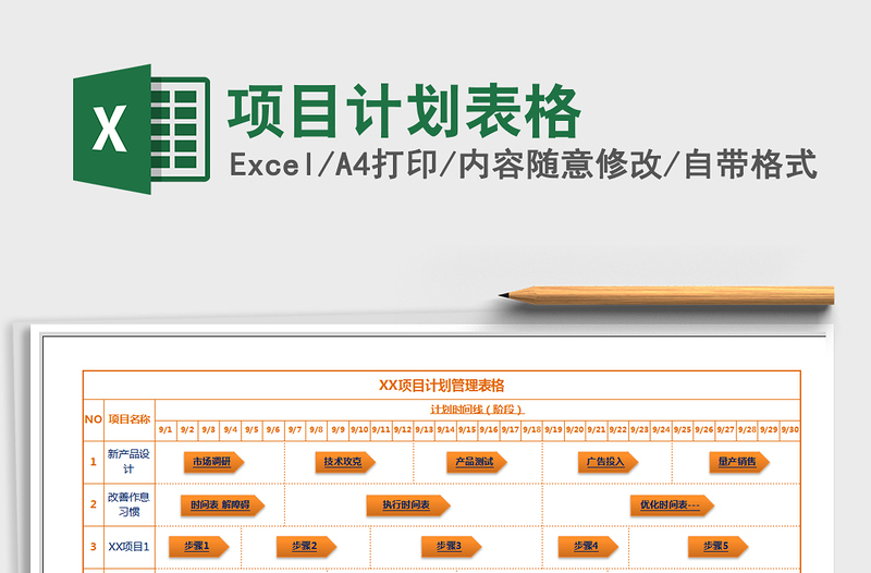 2021年项目计划表格